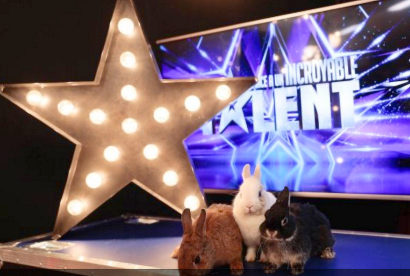 Tournage reporté (photo M6) Tournage reporté (photo M6)