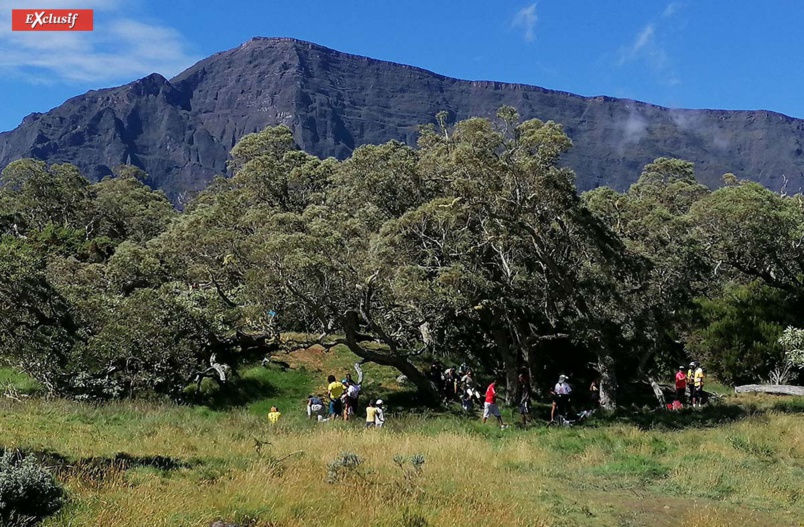 Pas de doute, les Réunionnais aiment marcher Pas de doute, les Réunionnais aiment marcher