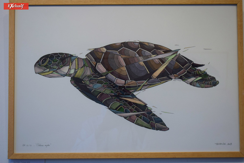 Un univers aquatique... Un univers aquatique...