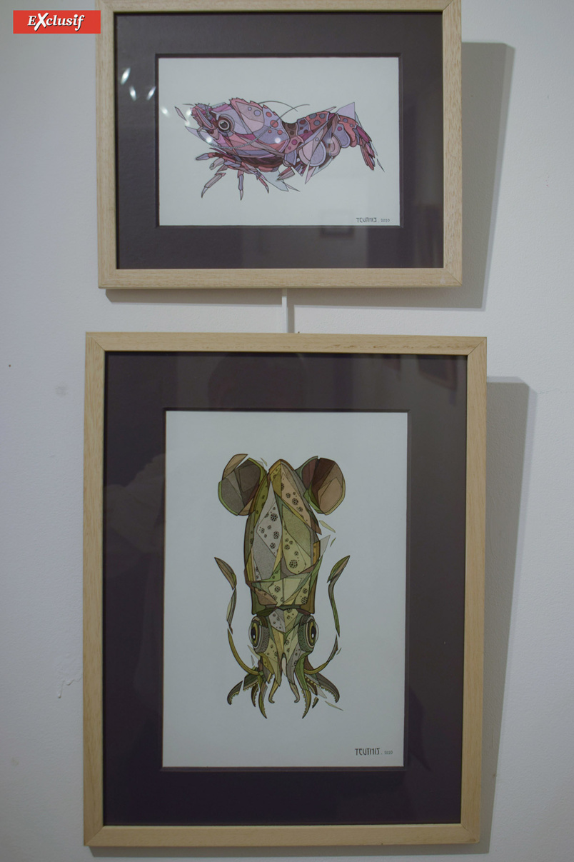 Expo à Saint-Pierre: "Insula" par Teuthis invité par Jace Expo à Saint-Pierre: "Insula" par Teuthis invité par Jace