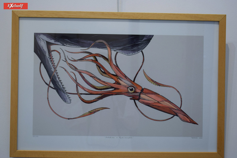 Expo à Saint-Pierre: "Insula" par Teuthis invité par Jace Expo à Saint-Pierre: "Insula" par Teuthis invité par Jace