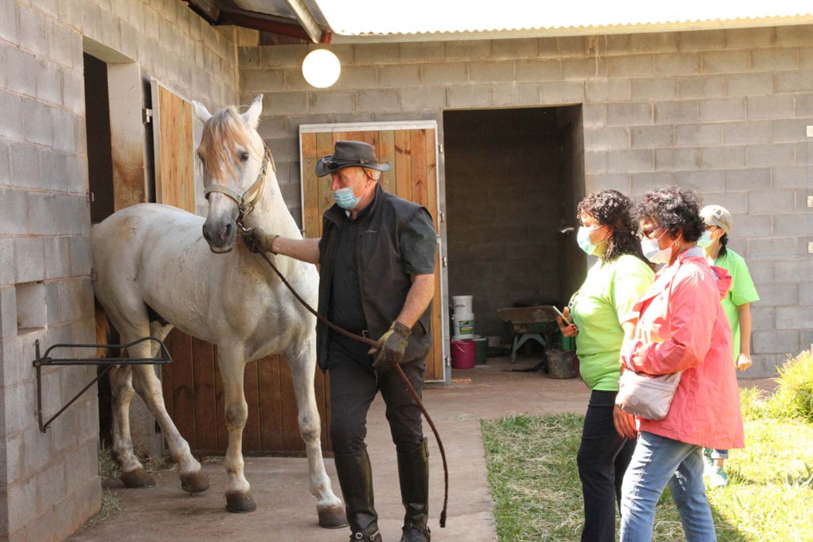 Pasqual Porcel sort un superbe étalon, sous les yeux admiratifs des participants Pasqual Porcel sort un superbe étalon, sous les yeux admiratifs des participants