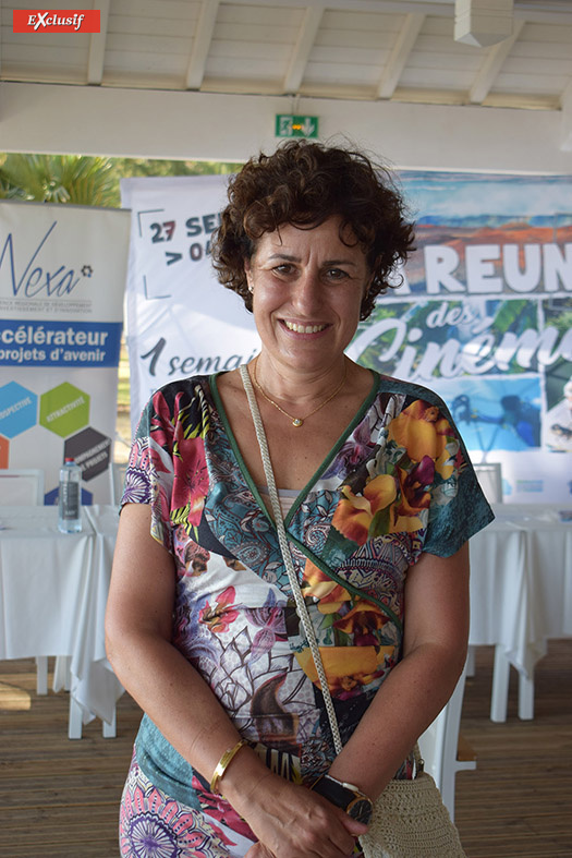 Valérie Lépine Karnik, déléguée générale de l'Union des Producteurs de Cinéma Valérie Lépine Karnik, déléguée générale de l'Union des Producteurs de Cinéma
