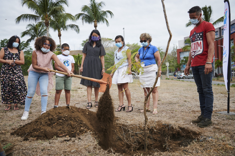 Plantation de l’arbre symbolique du droit des enfants...