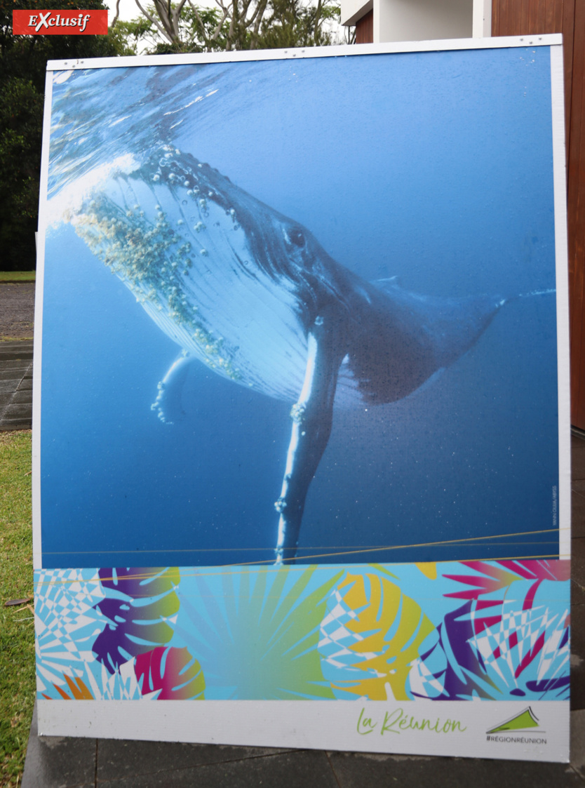 Conférence Internationale sur le Climat et la Biodiversité: "Penser global, agir global"... Conférence Internationale sur le Climat et la Biodiversité: "Penser global, agir global"...