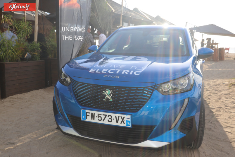 Alice Lemoigne, championne du monde de surf, "au pays des merveilles... électriques"! Alice Lemoigne, championne du monde de surf, "au pays des merveilles... électriques"!