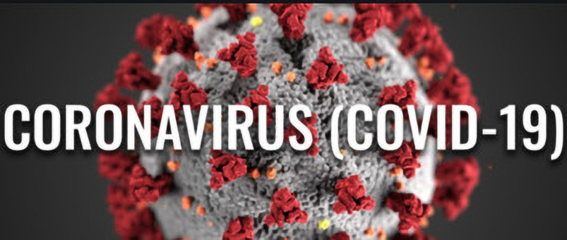 Crise sanitaire: l’énorme fiasco français Crise sanitaire: l’énorme fiasco français