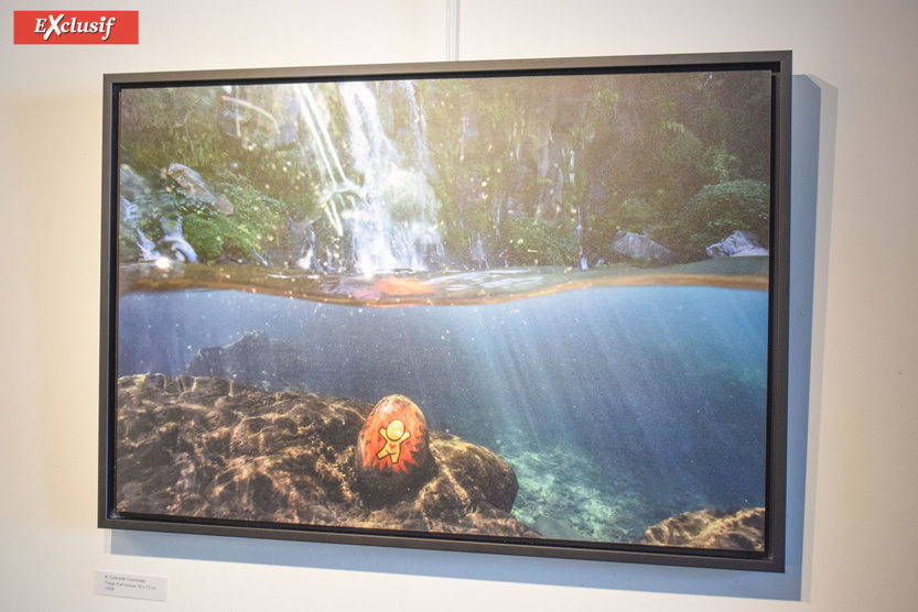 Expo "Galets" de Jace: à la chasse aux Gouzous... aquatiques! Expo "Galets" de Jace: à la chasse aux Gouzous... aquatiques!