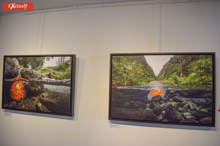 Des galets à découvrir sous l'eau dans toute l'île... Des galets à découvrir sous l'eau dans toute l'île...
