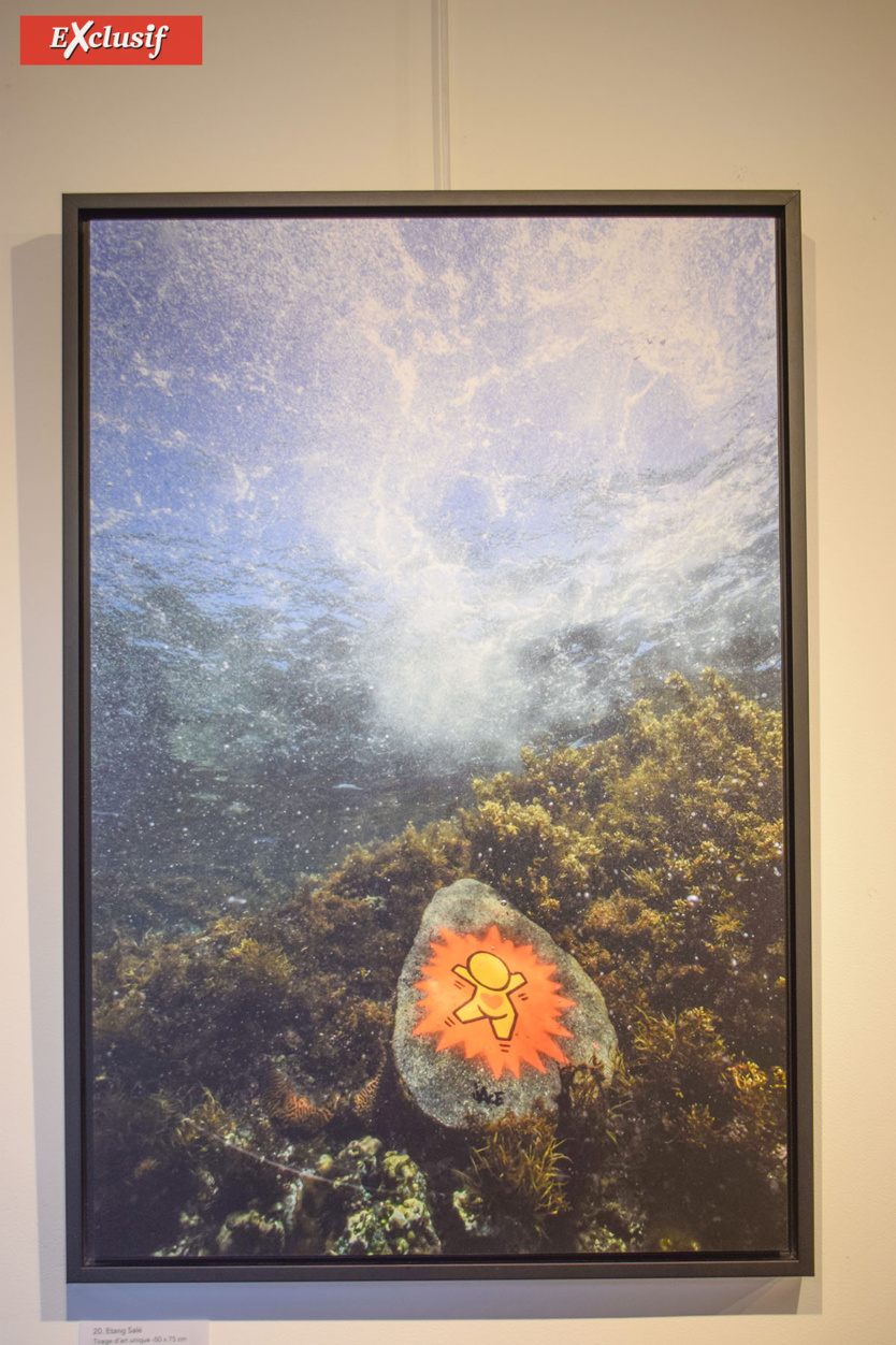 Expo "Galets" de Jace: à la chasse aux Gouzous... aquatiques! Expo "Galets" de Jace: à la chasse aux Gouzous... aquatiques!