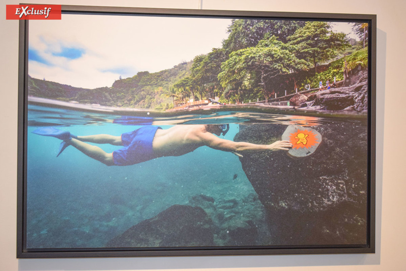 Expo "Galets" de Jace: à la chasse aux Gouzous... aquatiques! Expo "Galets" de Jace: à la chasse aux Gouzous... aquatiques!