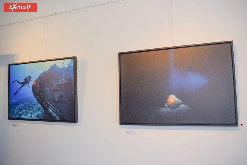 Expo "Galets" de Jace: à la chasse aux Gouzous... aquatiques! Expo "Galets" de Jace: à la chasse aux Gouzous... aquatiques!