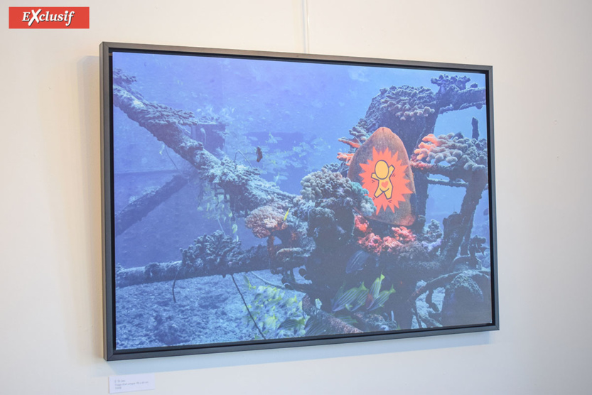 Expo "Galets" de Jace: à la chasse aux Gouzous... aquatiques! Expo "Galets" de Jace: à la chasse aux Gouzous... aquatiques!