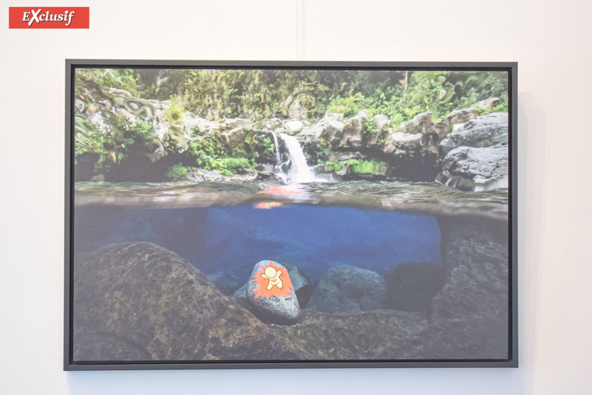 Expo "Galets" de Jace: à la chasse aux Gouzous... aquatiques! Expo "Galets" de Jace: à la chasse aux Gouzous... aquatiques!