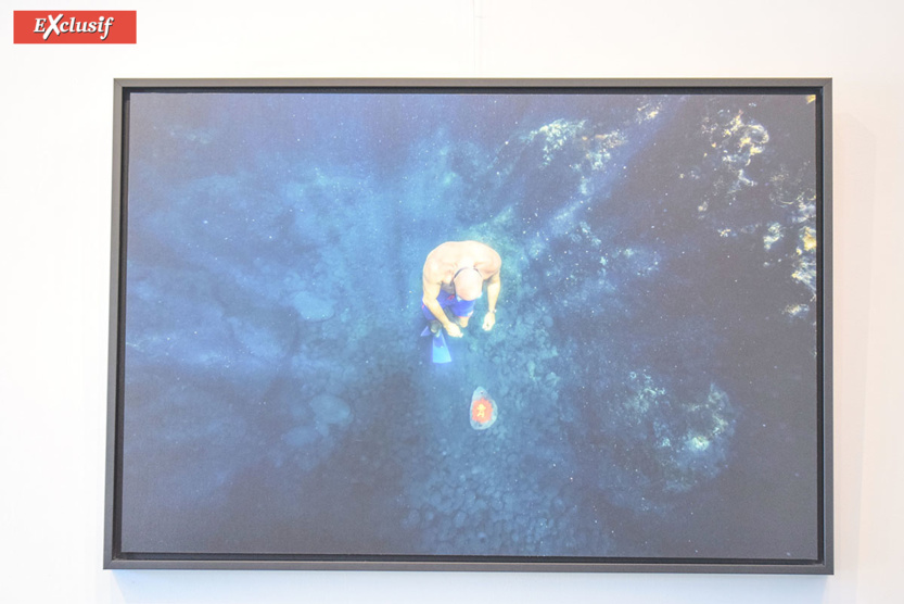 Expo "Galets" de Jace: à la chasse aux Gouzous... aquatiques! Expo "Galets" de Jace: à la chasse aux Gouzous... aquatiques!