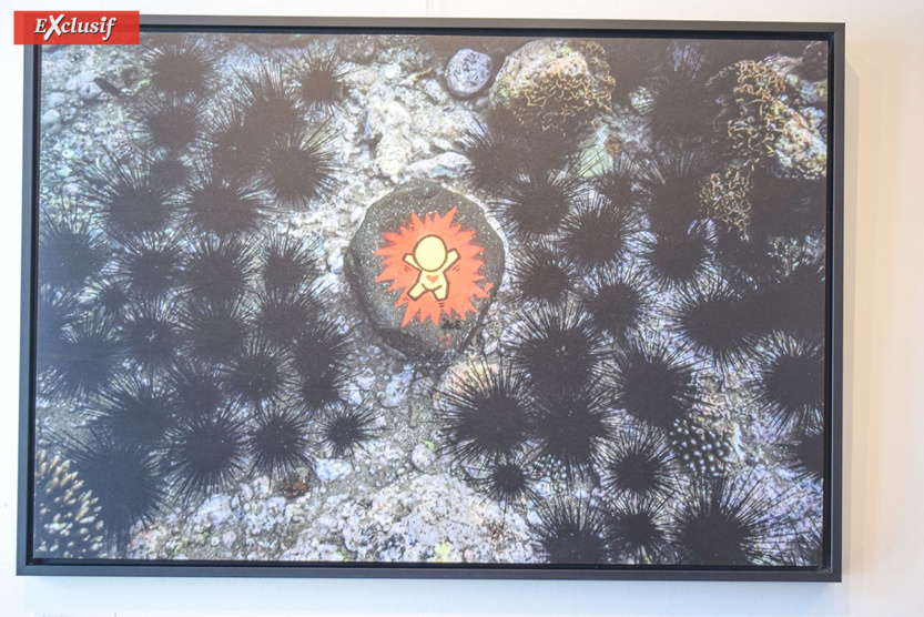 Expo "Galets" de Jace: à la chasse aux Gouzous... aquatiques! Expo "Galets" de Jace: à la chasse aux Gouzous... aquatiques!