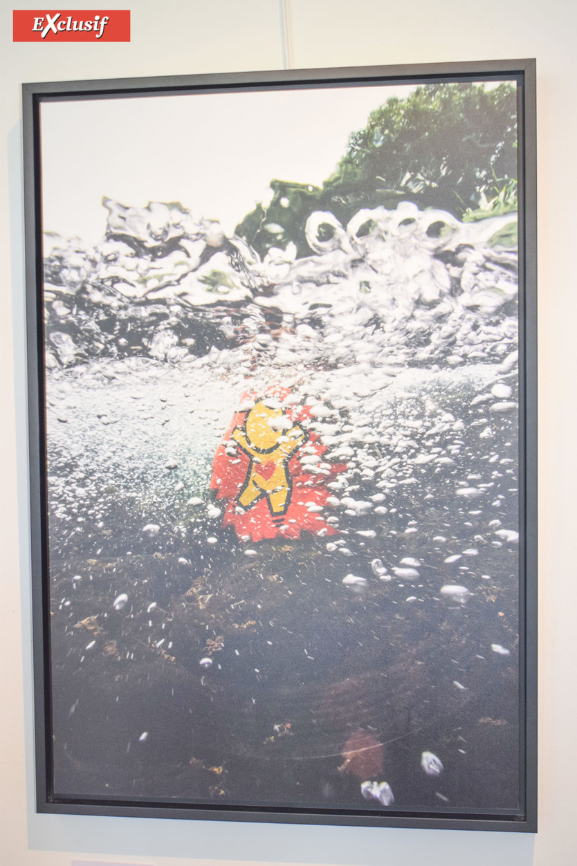 Expo "Galets" de Jace: à la chasse aux Gouzous... aquatiques! Expo "Galets" de Jace: à la chasse aux Gouzous... aquatiques!