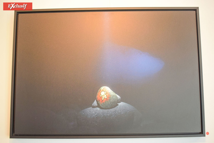 Expo "Galets" de Jace: à la chasse aux Gouzous... aquatiques! Expo "Galets" de Jace: à la chasse aux Gouzous... aquatiques!