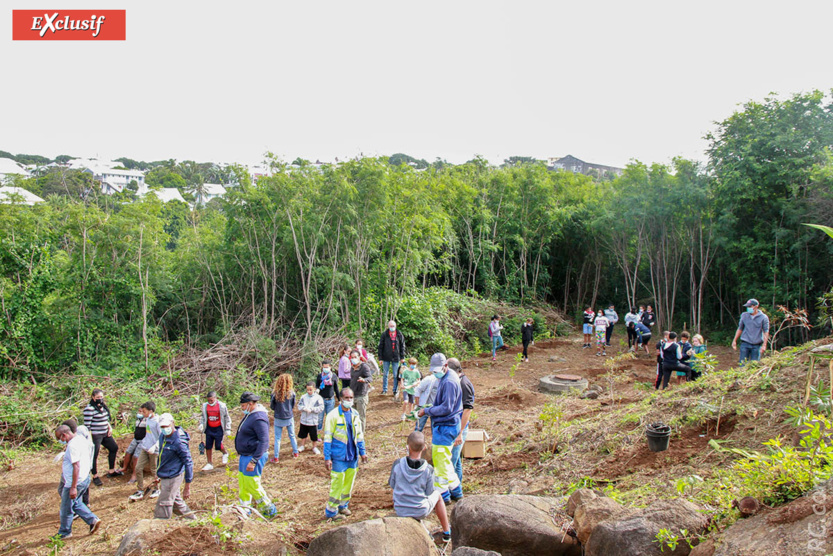L'arboretum «Le Bois de Wuwei» marque le coup d'envoi de toute une série de plantations d'arbres sur le site du temple de Guandi de Terre Sainte L'arboretum «Le Bois de Wuwei» marque le coup d'envoi de toute une série de plantations d'arbres sur le site du temple de Guandi de Terre Sainte