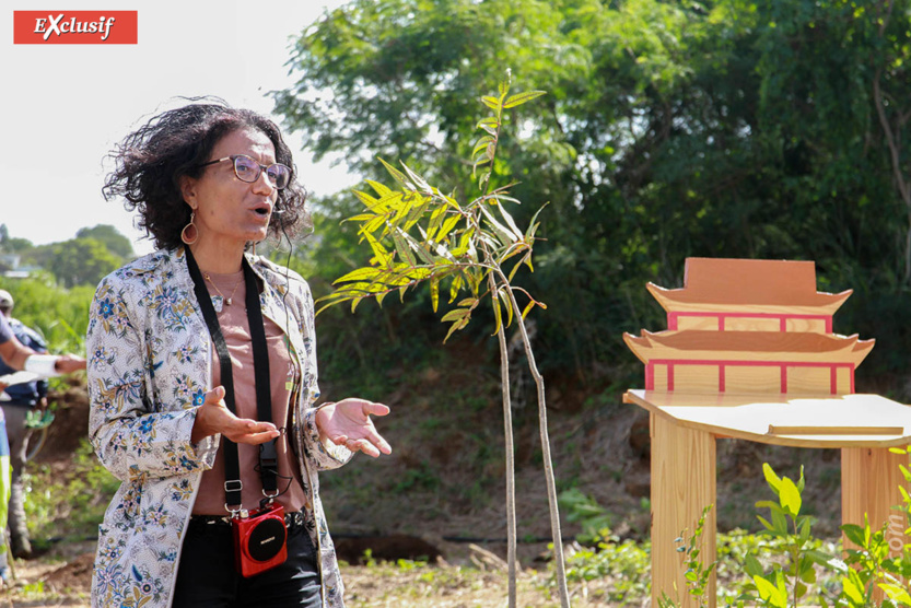 Sandrine Gilson du Conseil Départemental: «Nous avons pour mission d'inverser la tendance de la perte de la biodiversité de La Réunion qui est unique au monde»... Sandrine Gilson du Conseil Départemental: «Nous avons pour mission d'inverser la tendance de la perte de la biodiversité de La Réunion qui est unique au monde»...