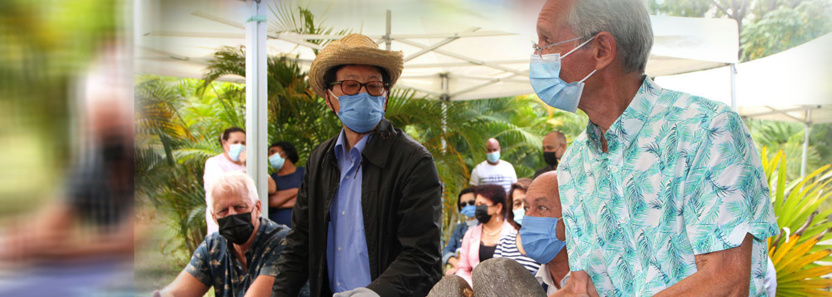 Un coco-fesse planté au Parc des Palmiers du Tampon Un coco-fesse planté au Parc des Palmiers du Tampon