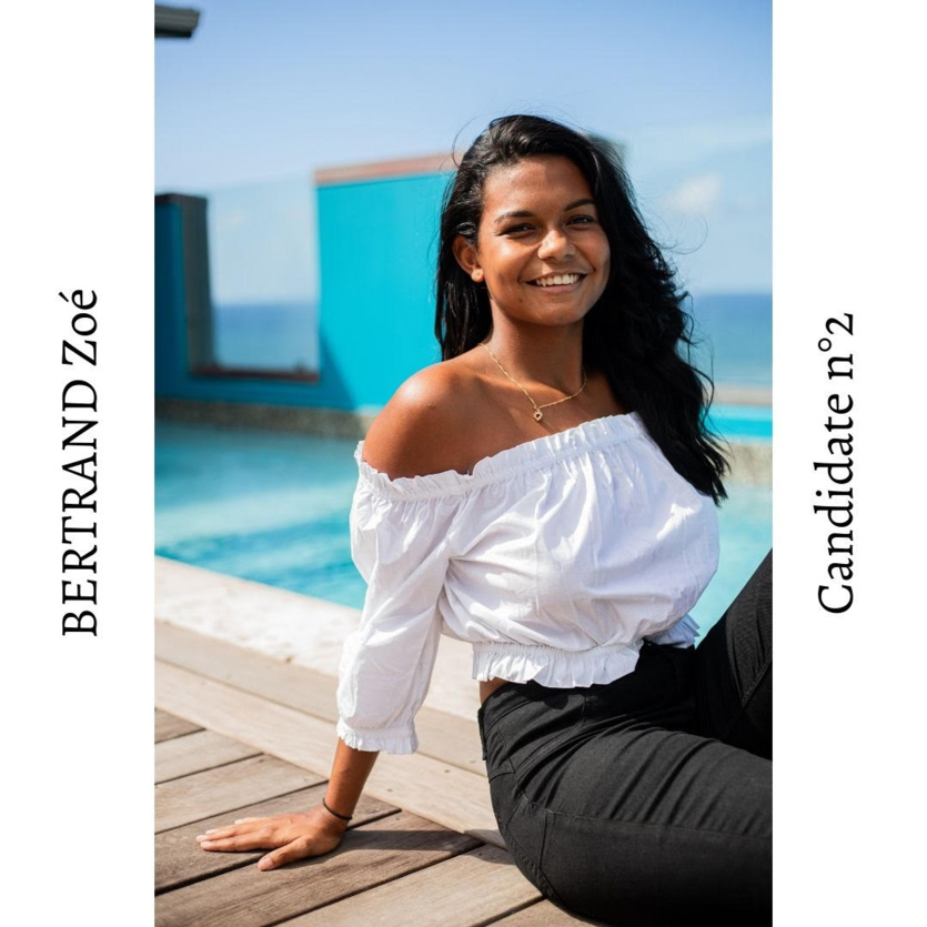 N°2. Zoé Bertrand N°2. Zoé Bertrand