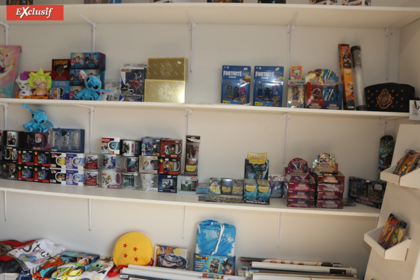 La Galerie des héros: nouveau lieu culturel pour les plus jeunes La Galerie des héros: nouveau lieu culturel pour les plus jeunes