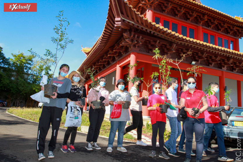 Chacun a choisi sa plante... Chacun a choisi sa plante...