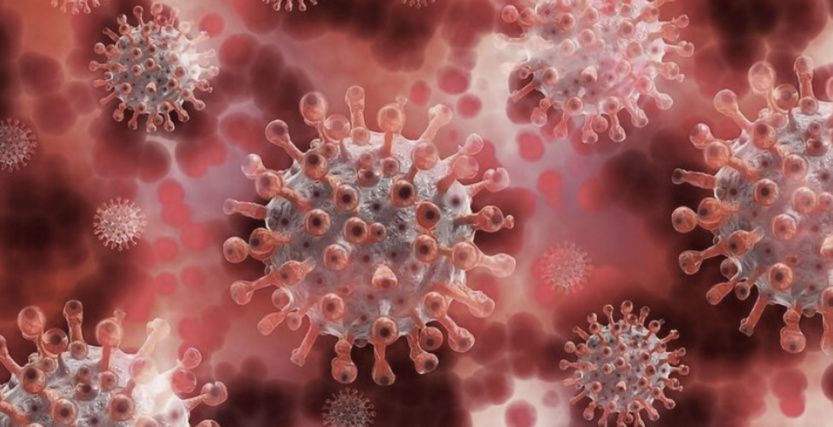 Covid-19: le nouveau variant "colombien" tue 7 personnes vaccinées en Belgique Covid-19: le nouveau variant "colombien" tue 7 personnes vaccinées en Belgique