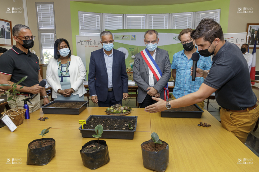 Petite Ile, premier partenaire communal  du plan "1 million d’Arbres pour La Réunion"