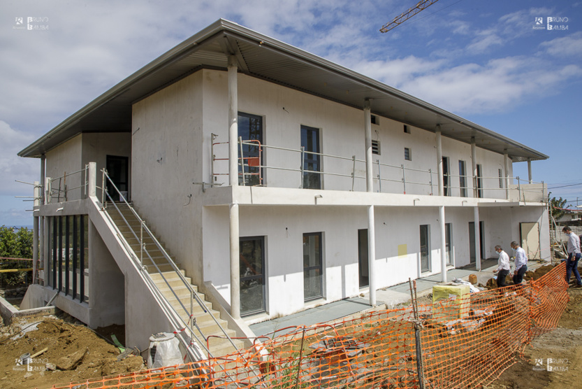 Petite Ile, premier partenaire communal du plan "1 million d’Arbres pour La Réunion" Petite Ile, premier partenaire communal du plan "1 million d’Arbres pour La Réunion"