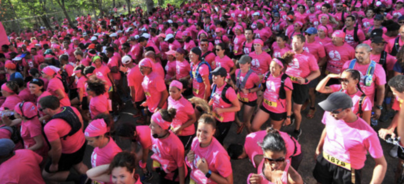 La vague rose est de retour... en plusieurs vagues! La vague rose est de retour... en plusieurs vagues!