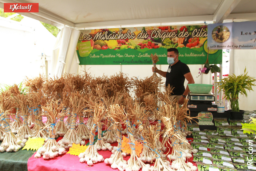 Pour la première fois, de l'ail de Cilaos dans le parc Jean de Cambiaire Pour la première fois, de l'ail de Cilaos dans le parc Jean de Cambiaire