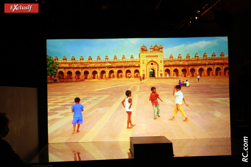 Expo "Arts de l'Islam", monde islamique et musulmans de La Réunion