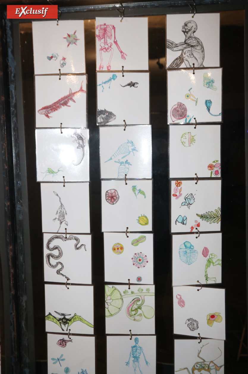Expo: le "Voyage initiatique" d'Aurellll