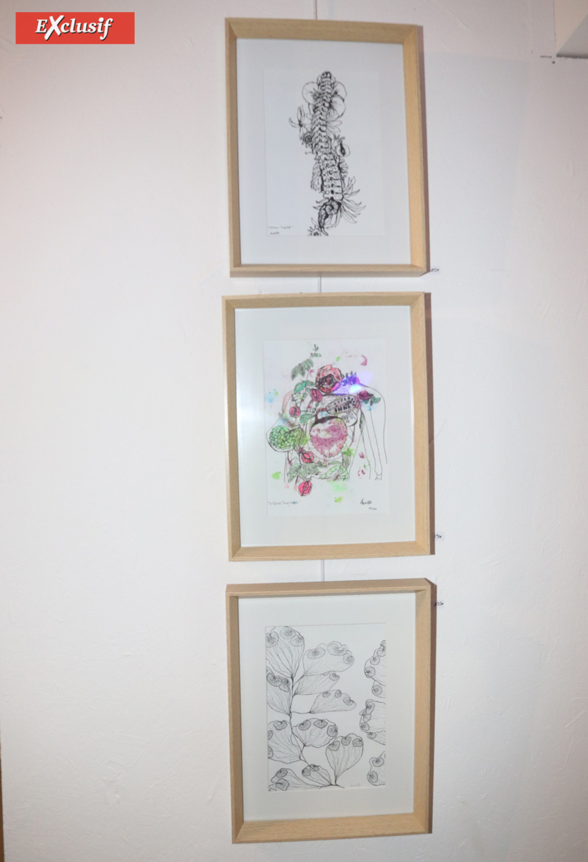 Expo: le "Voyage initiatique" d'Aurellll