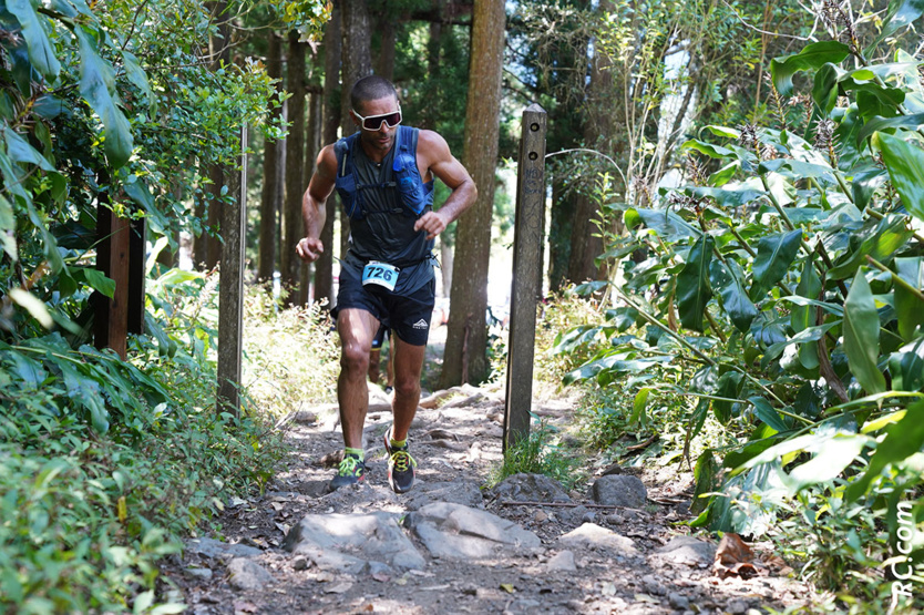 De magnifiques paysage dans la montée vers le plus haut sommet de l'île De magnifiques paysage dans la montée vers le plus haut sommet de l'île