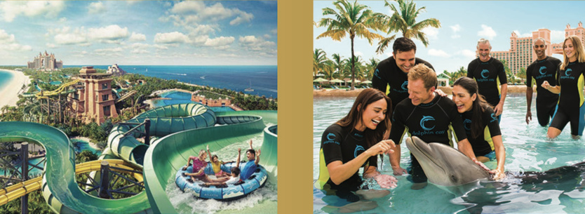 A vous Dubaï et ses activités si vous êtes vacciné... A vous Dubaï et ses activités si vous êtes vacciné...