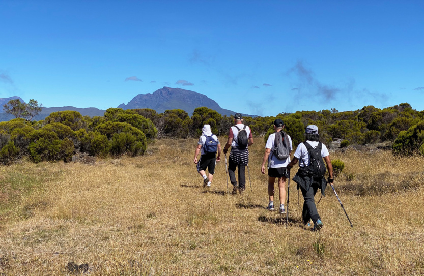 A la queue-leu-leu en direction du plus haut sommet de La Réunion