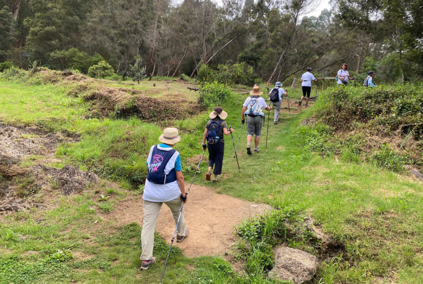 Du côté de Tamarhauts à la Plaine des Cafres Du côté de Tamarhauts à la Plaine des Cafres