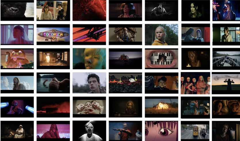 Une soixantaine de films internationaux au programme