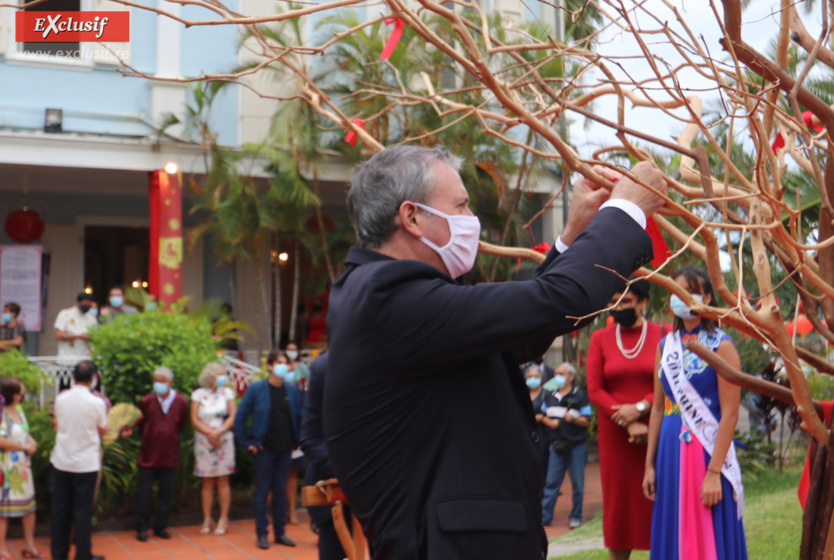 Année du Tigre d'eau: l'expo "La Belle Chine" à la Villa du Département Année du Tigre d'eau: l'expo "La Belle Chine" à la Villa du Département