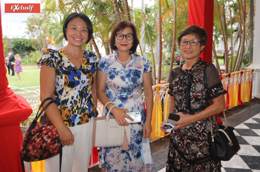 Année du Tigre d'eau: l'expo "La Belle Chine" à la Villa du Département Année du Tigre d'eau: l'expo "La Belle Chine" à la Villa du Département