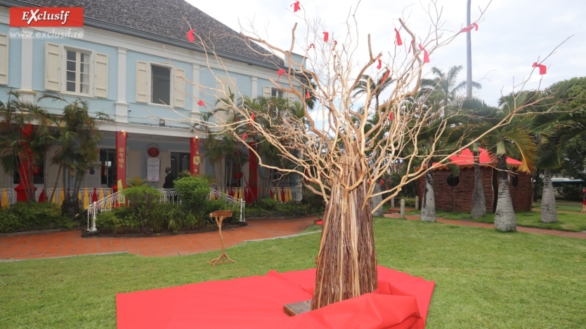 Année du Tigre d'eau: l'expo "La Belle Chine" à la Villa du Département Année du Tigre d'eau: l'expo "La Belle Chine" à la Villa du Département