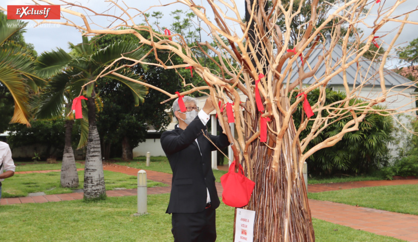 Année du Tigre d'eau: l'expo "La Belle Chine" à la Villa du Département Année du Tigre d'eau: l'expo "La Belle Chine" à la Villa du Département