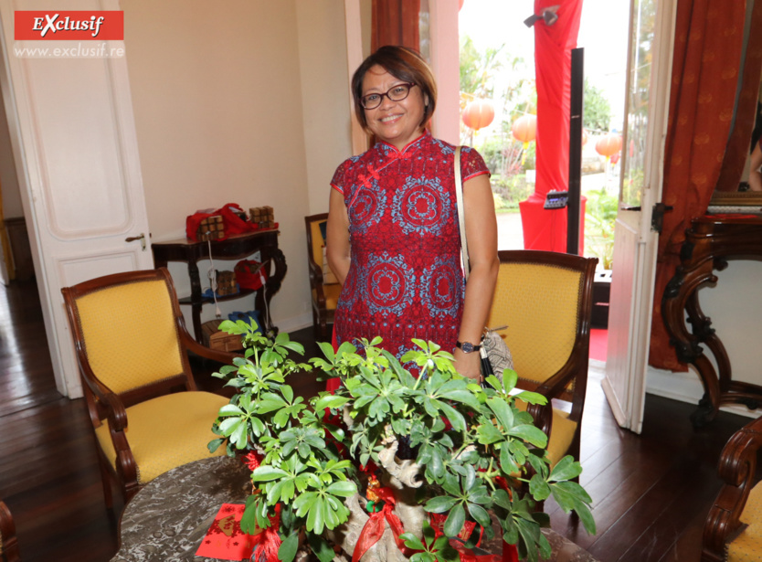 Année du Tigre d'eau: l'expo "La Belle Chine" à la Villa du Département Année du Tigre d'eau: l'expo "La Belle Chine" à la Villa du Département