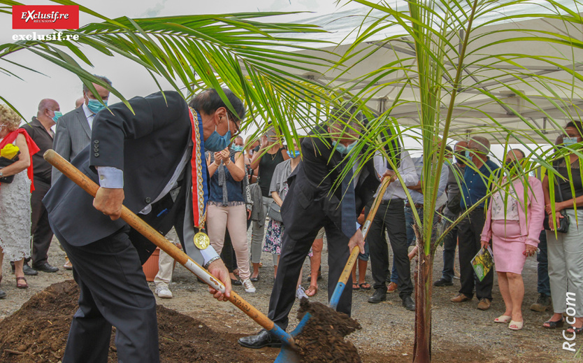 Plantation d'un palmier Roussel par le premier magistrat de la ville et le Préfet de La Réunion
