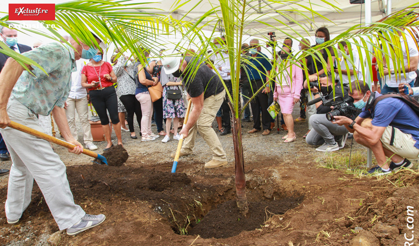 Le beau Parc des Palmiers du Tampon va doubler de surface Le beau Parc des Palmiers du Tampon va doubler de surface
