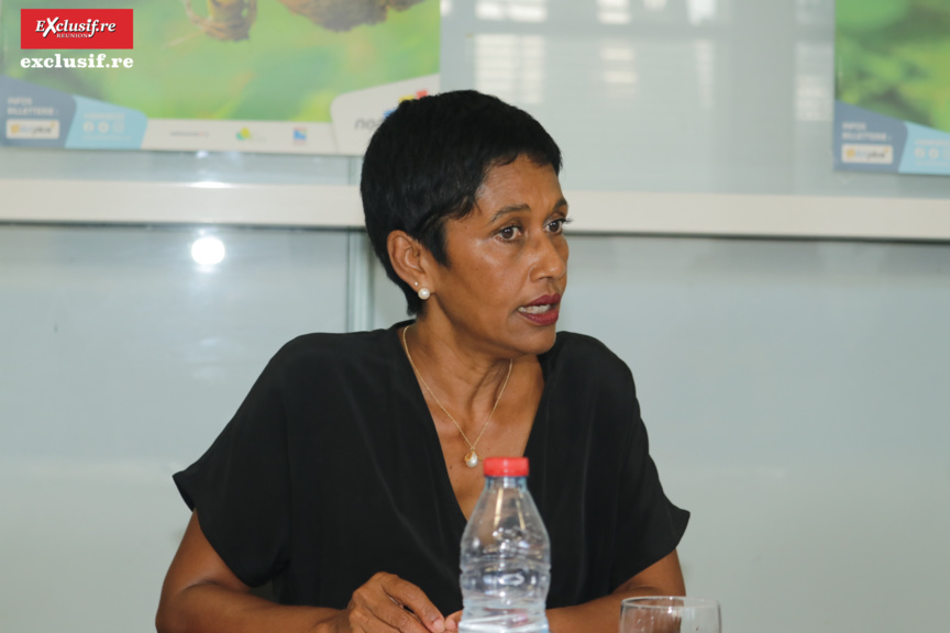 Salon de la Maison 2022: la relance espérée après les années Covid Salon de la Maison 2022: la relance espérée après les années Covid