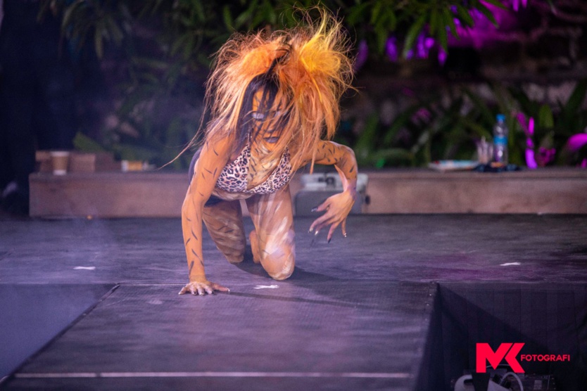 Painting: Seb body arts à Maurice pour le Festival International de l'Art Painting: Seb body arts à Maurice pour le Festival International de l'Art